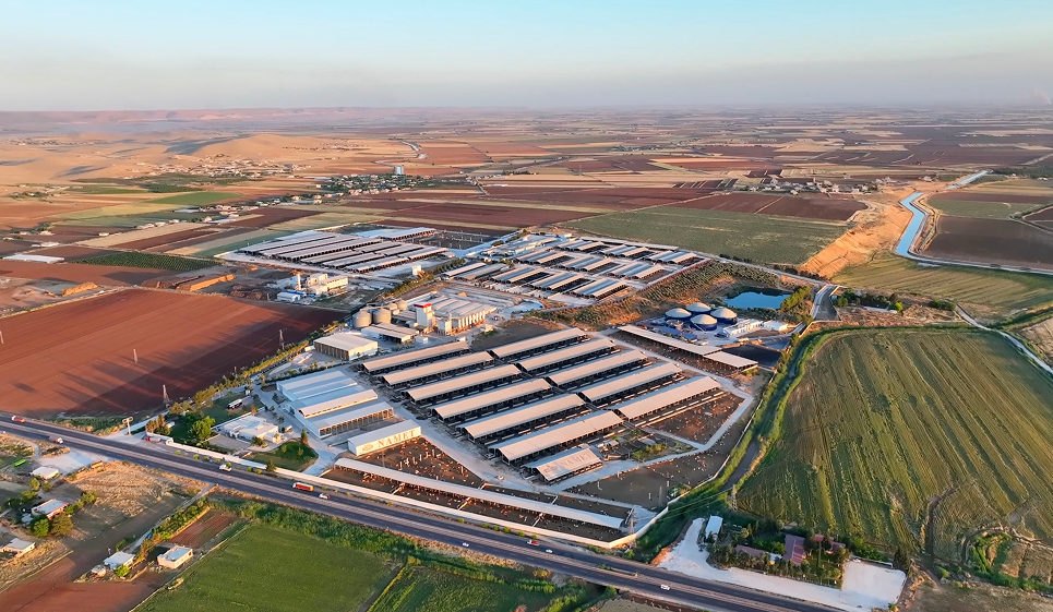 Şanlıurfa Besi Çiftliği