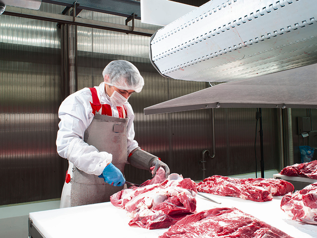 Kocaeli / Çayırova Üretim Tesisi