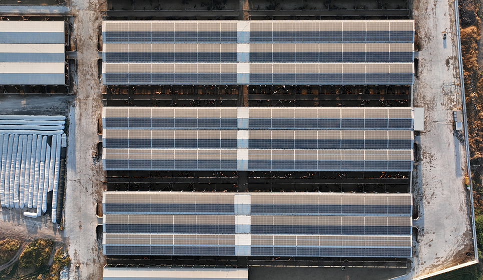 Şanlıurfa Besi Çiftliği